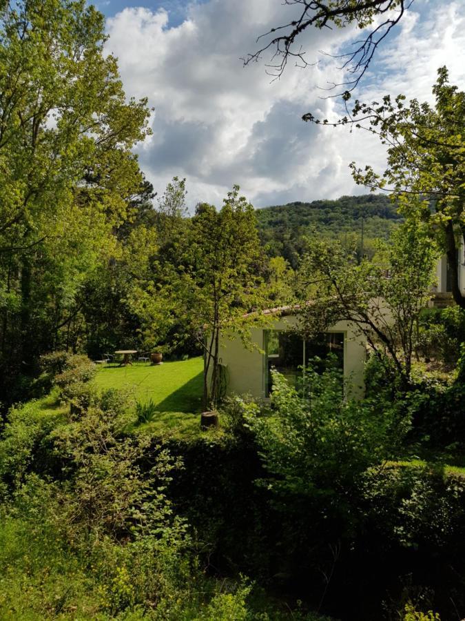 Beautiful Studio Surrounded By Nature Lanet 외부 사진