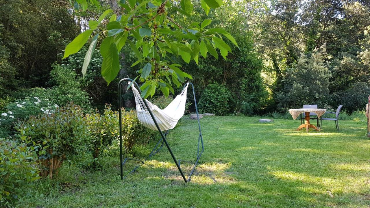 Beautiful Studio Surrounded By Nature Lanet 외부 사진